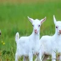 唐国强老师最近被网友推上风口浪尖，有人直指他已经积累数亿身家却不知足，认为他参与