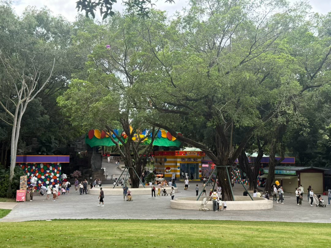 金钟湖周边的路塞的很离谱，全是粤a粤b粤c的车，我一看导航时机不对，掉头走人，转