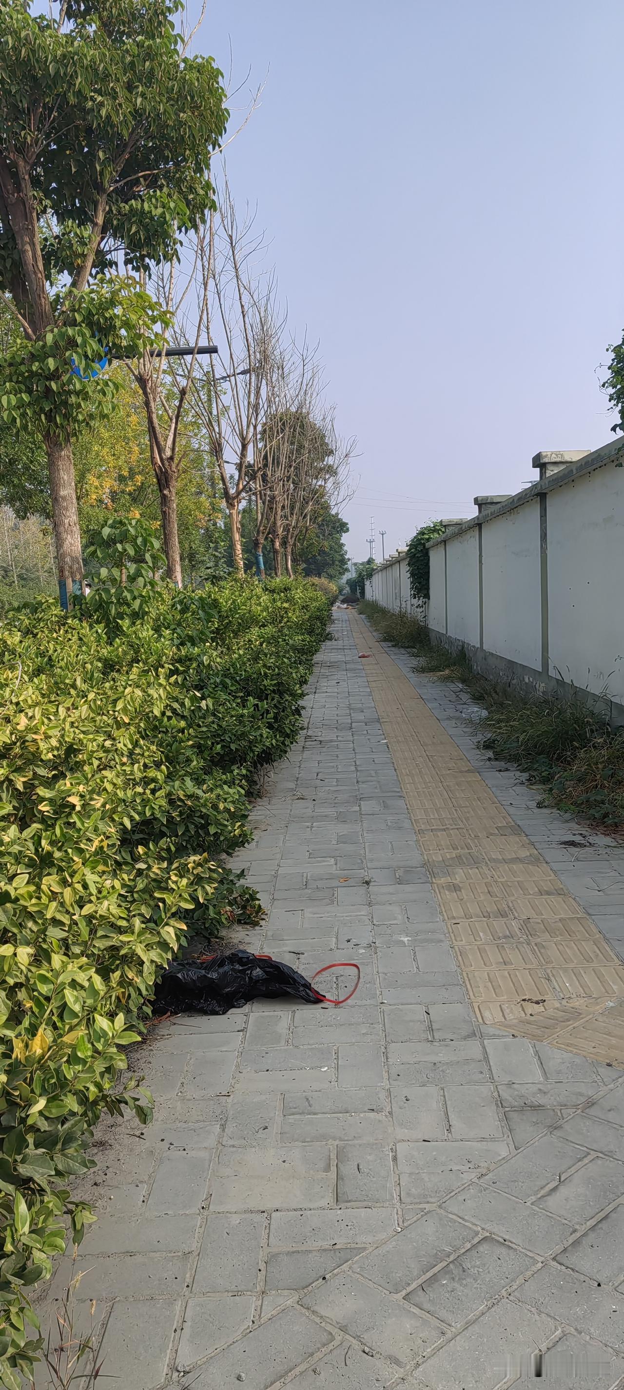 开封市夷山大街北段圣桦城小区东门附近，缺少一座公共厕所。
象山论道沿着夷山大街由