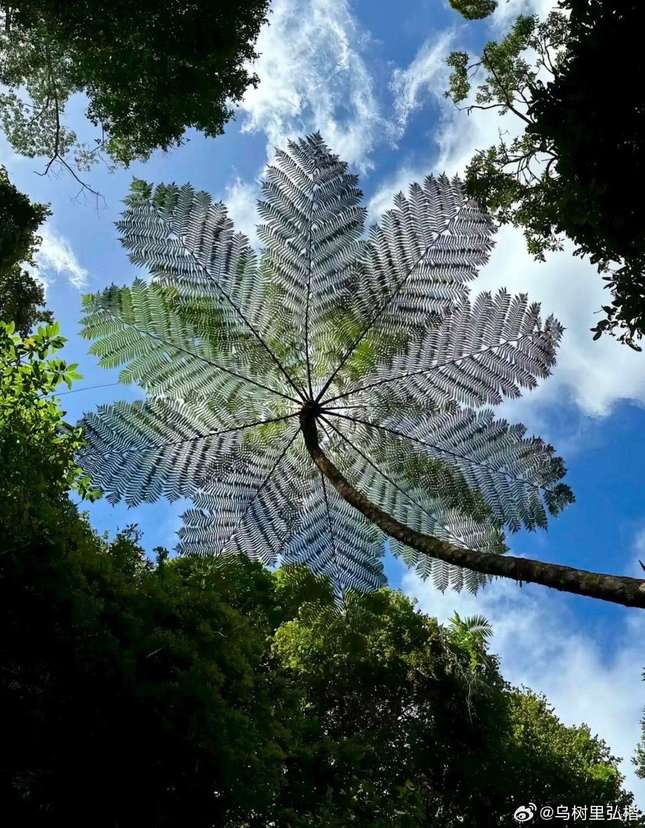 世间万事大多纷扰，本没有标准的是非答案，人各有心境，事各有缘由，不必事事较真，处