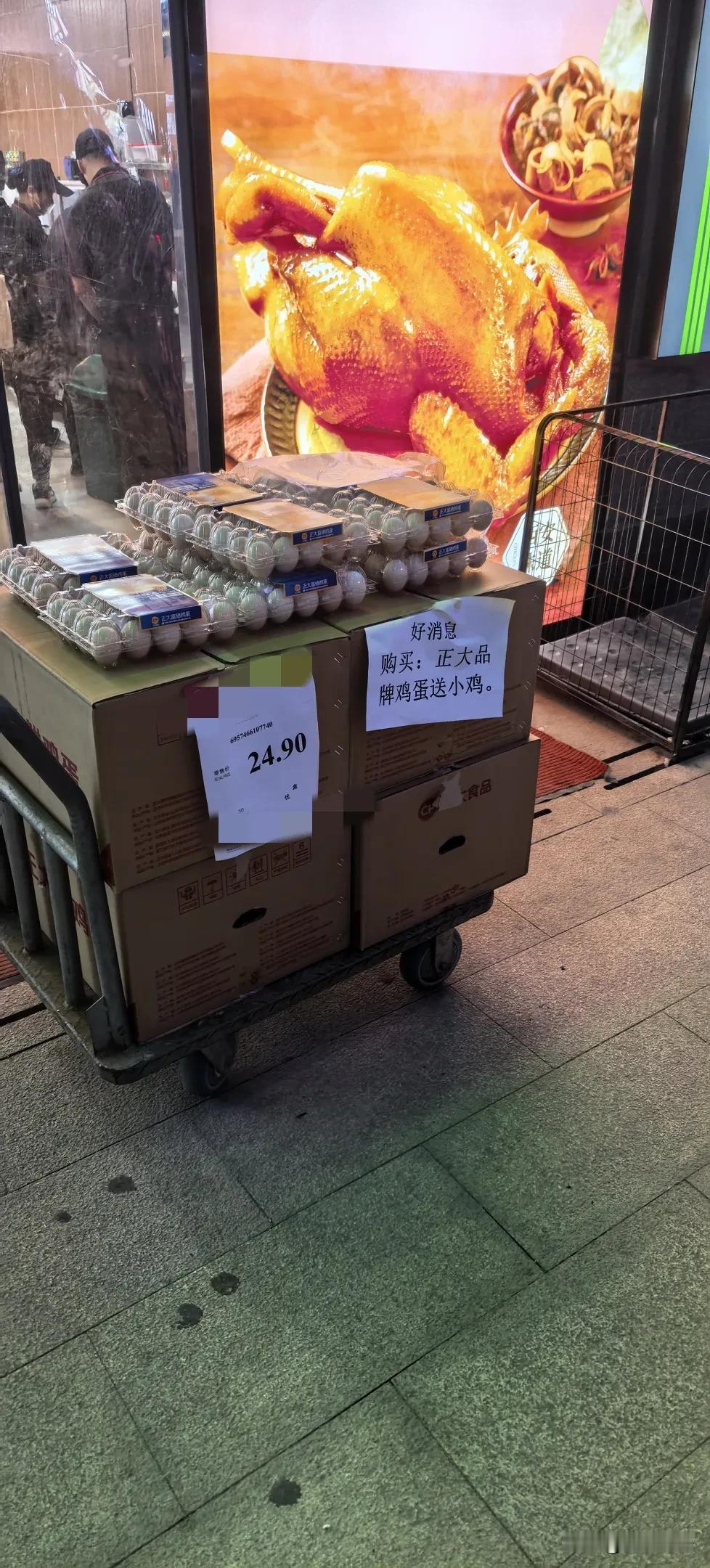 买鸡蛋送小鸡，确实是个很不错的营销点，但是在西安城里养小鸡却并不是个容易的事儿…