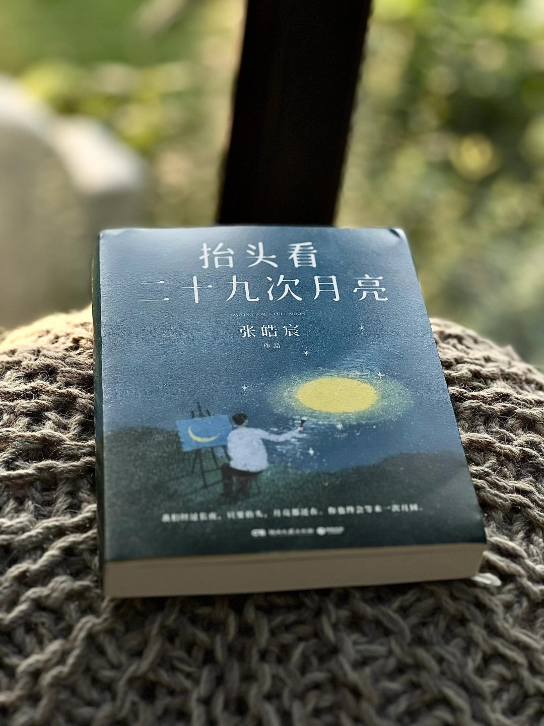 “因为你终会等到一次月圆。”——《  抬头看二十九次月亮 》想你的月亮可能不只有