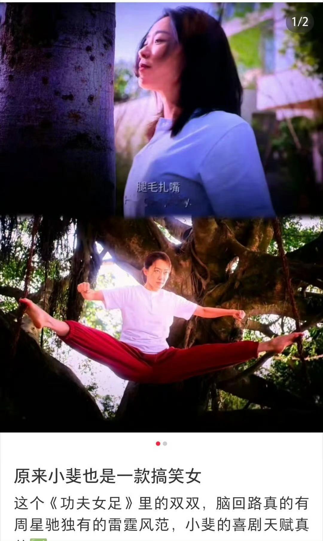 张小斐 喜剧天赋张小斐饰演的双双这个角色“又强又好笑”，从嘴硬倔强到内心强大的转