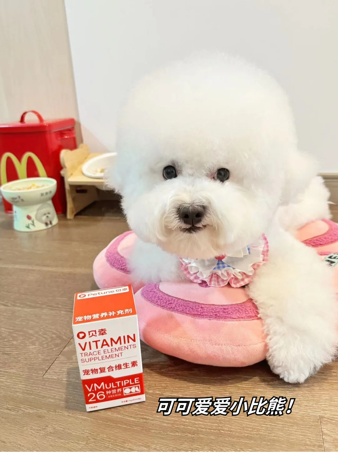 离健康小比熊🐶就差一瓶狗狗维生素！