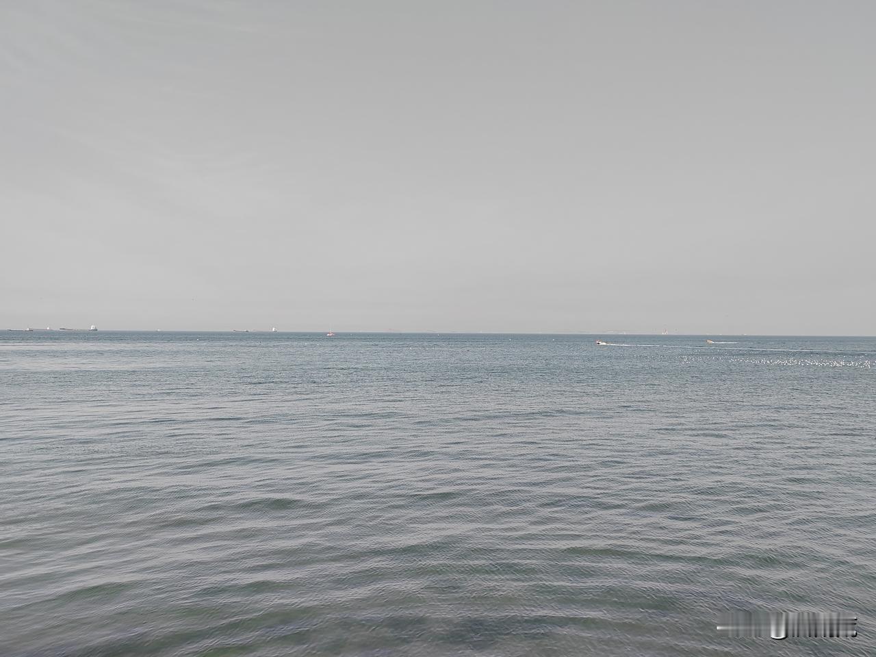 最近开始重新买了鱼竿，鱼护，拾起了曾经放弃的钓鱼，与其说是放弃不如说是曾经戒掉的