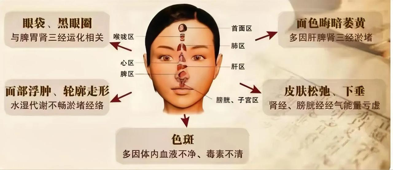 脸部的斑点与脏腑相关

很多人说“相由心生”，其实很大一部分是因为自己身体出了毛