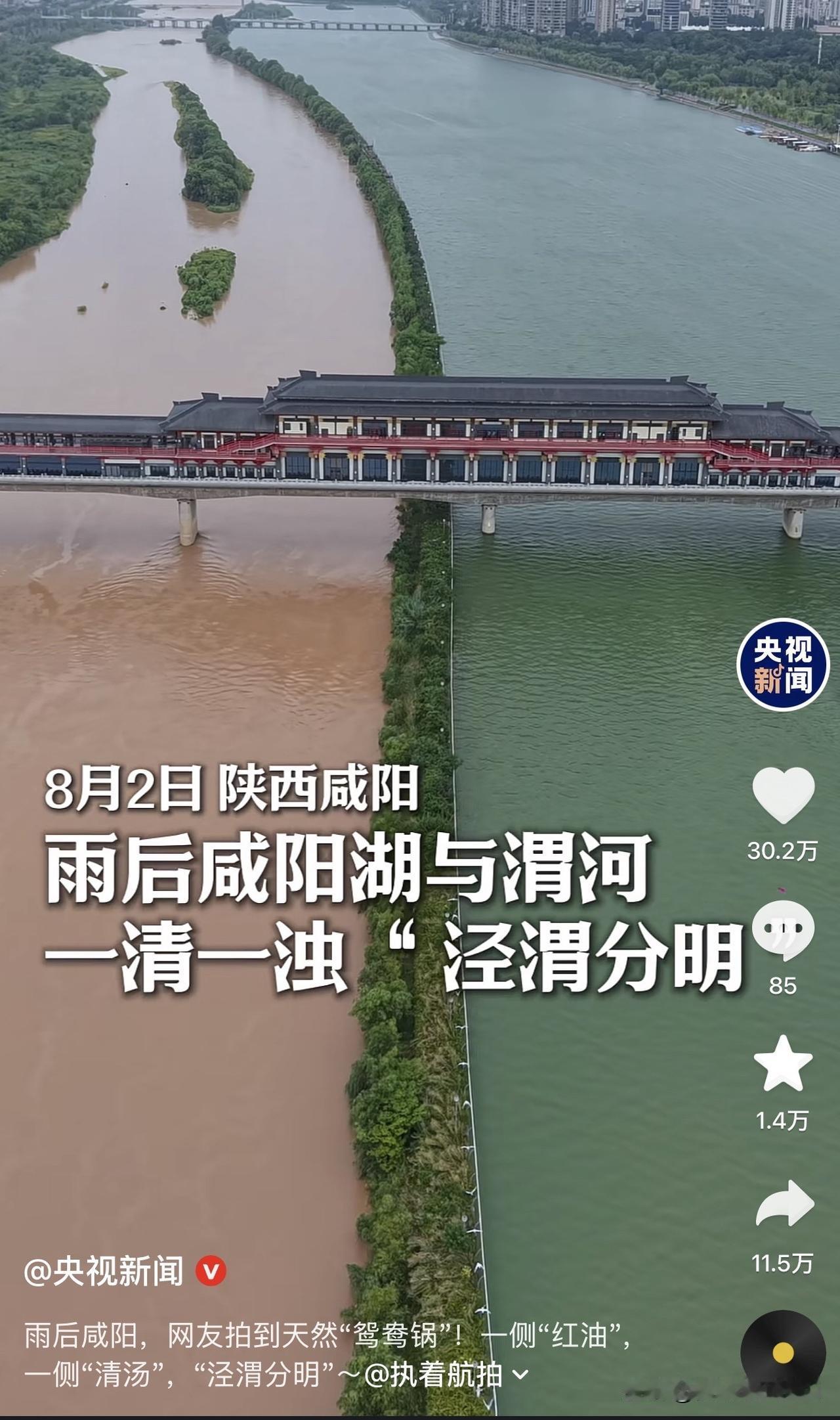 太神奇了！清浑两道水，在同一片天空下，硬是不相融。

这不是特效，是8月2日陕西