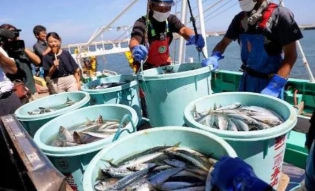 当初日本把核污水往海里倒，全球骂声一片，连海鲜都没人碰。可两年过去，不但日本海鲜