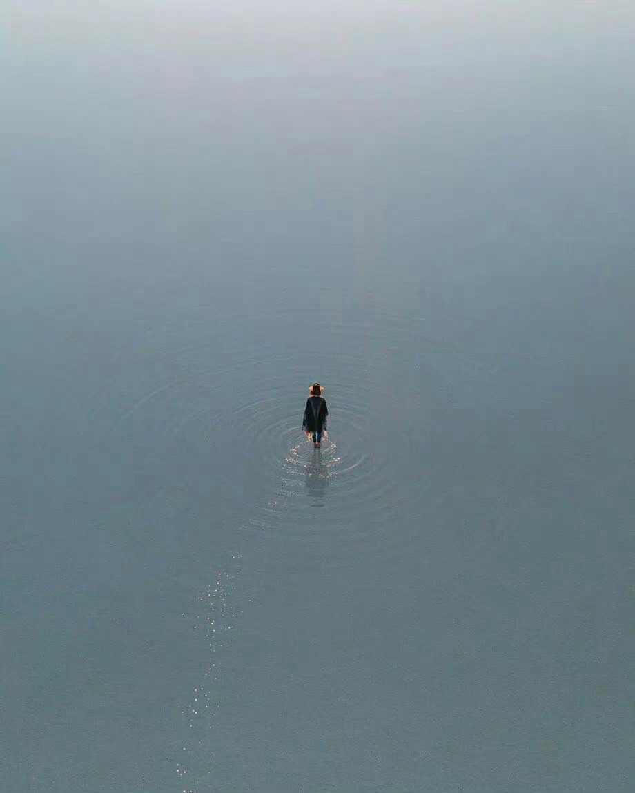 努力的意义，不是要鹤立鸡群，而是要离开那群鸡。——刘震云 