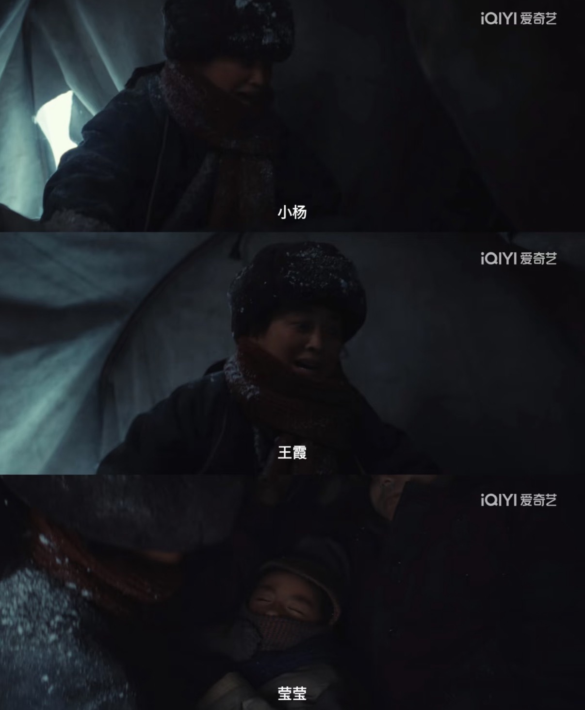 08年奥运会福娃迎迎是以藏羚羊为原型，寓意健康。生命树白菊原名杨莹莹，是保护者，