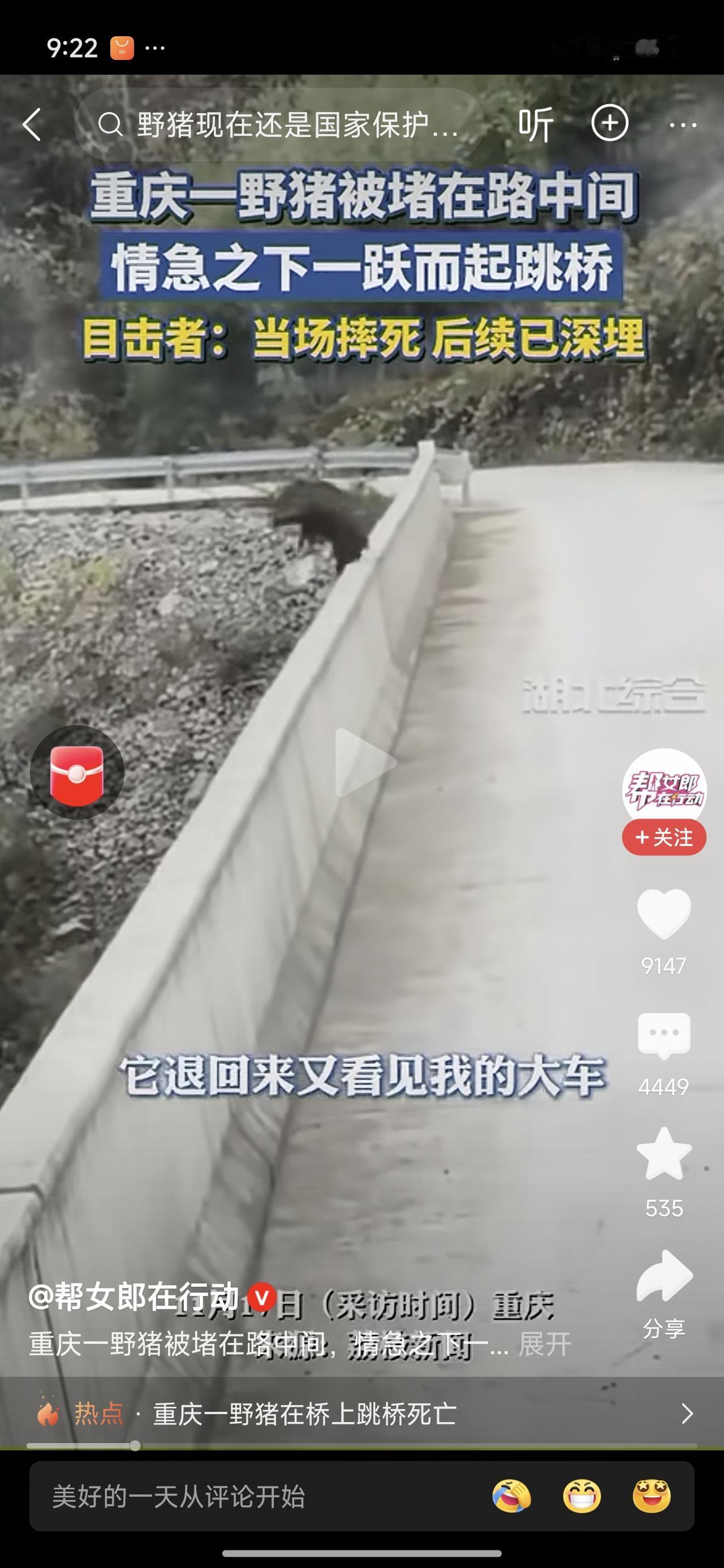 它为什么跳桥，活够了吗？
野猪偶遇大货车，以为自己无路可走，跳桥自杀了。死的嘎嘎