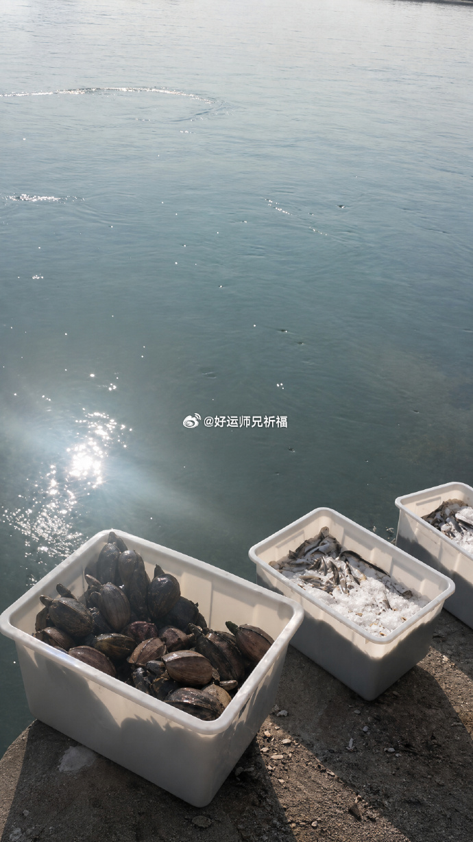五月十五，月圆功满，正是广种福田、放生积福的殊胜吉日。🙏更是在为自己和家人种下