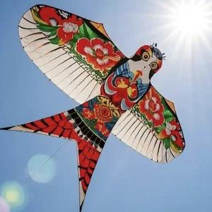 流浪的风筝
