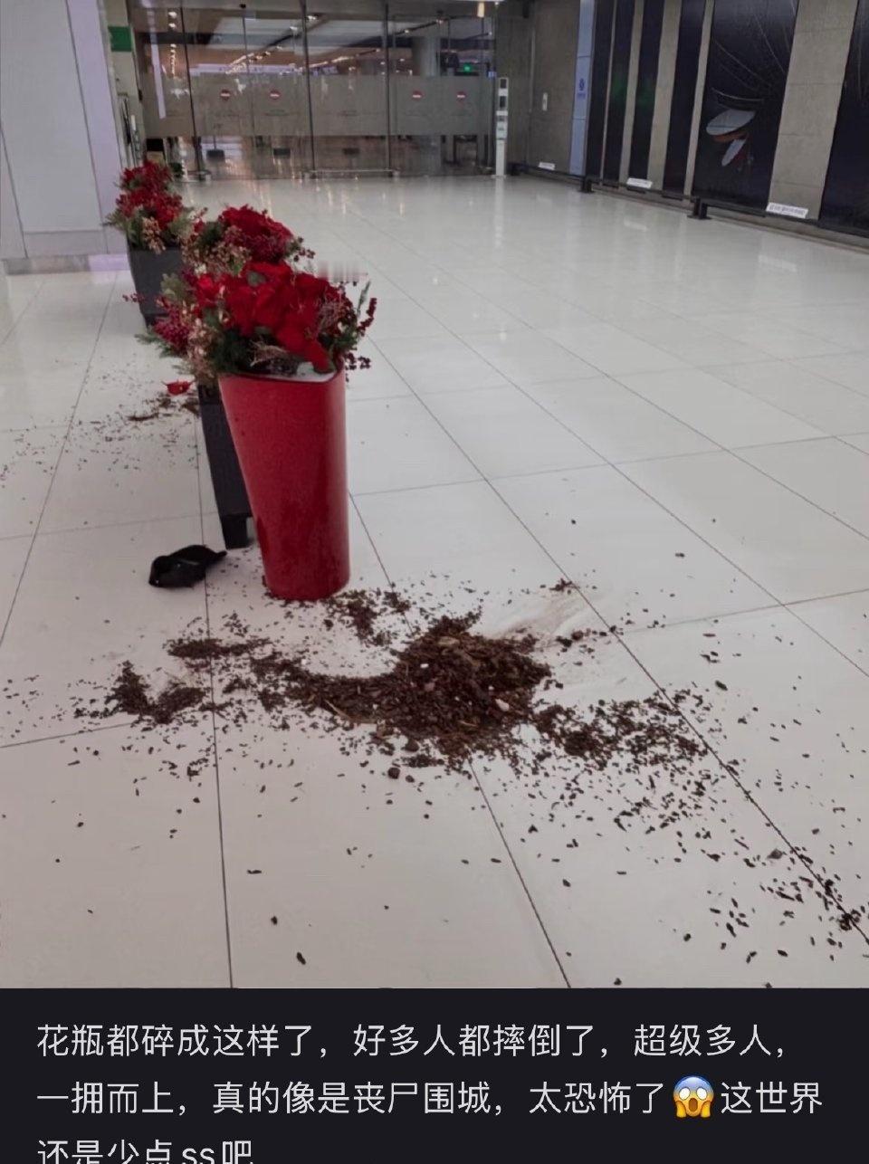 🍠153317044 、3210706zp、94141872450、52425