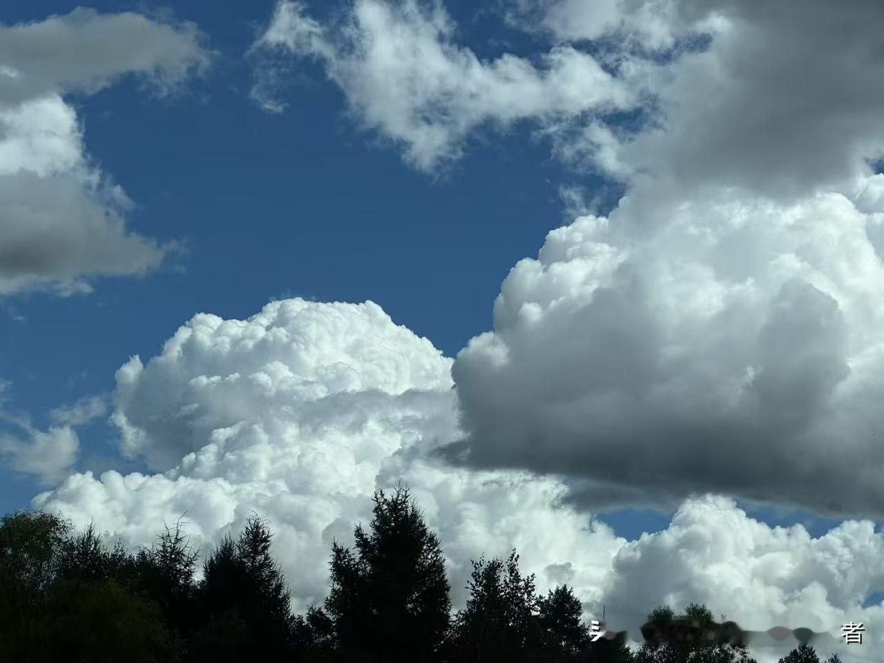 真要是灾难来了，咱别慌也别逃！先护好身边的老人孩子，邻里之间搭把手，你帮我递瓶水