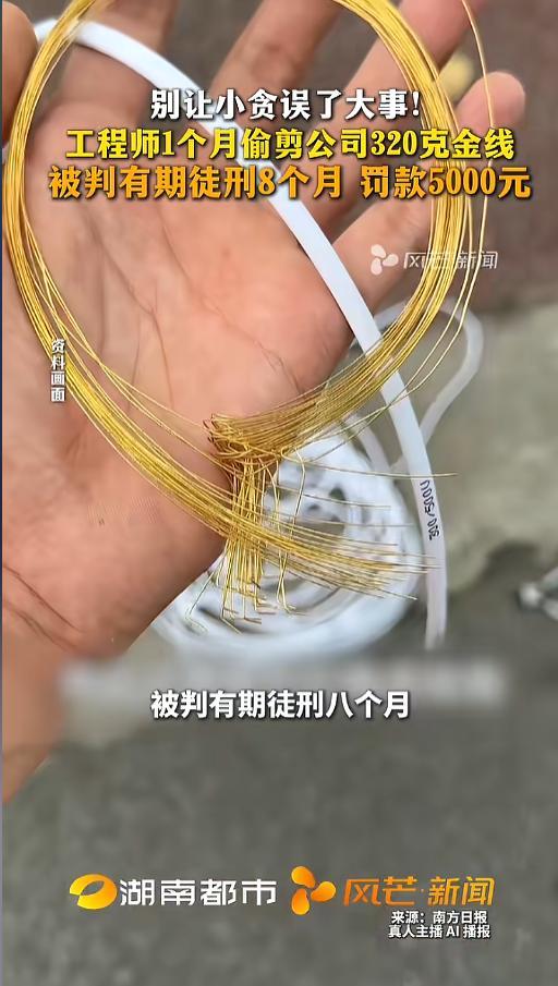 胆大包天！5月2日福建厦门检察机关披露：一工程师监守自盗，借设备调试趁机偷剪纯金