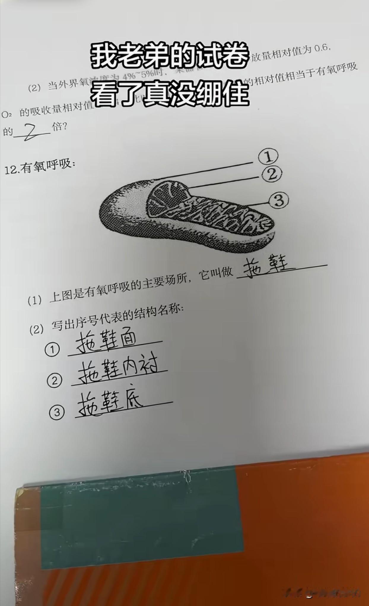 气死我了