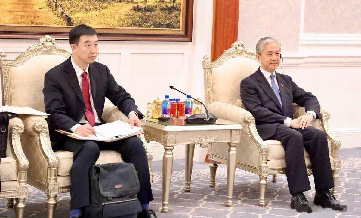 驻柬使馆敦促柬方加大对中国公民保护力度辛苦汪叔啦！ 