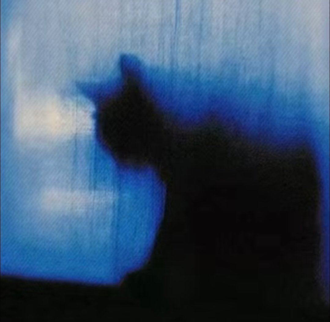 𝑾𝒆𝑪𝒉𝒂𝒕 猫咪💙💙 