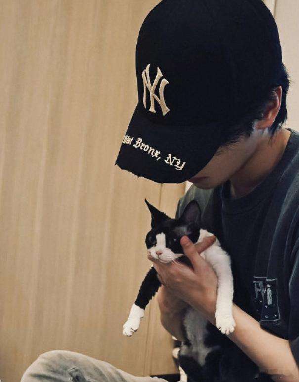 严浩翔的猫好萌严浩翔养了新猫 小严的两只新猫猫太可爱了！ ​​​