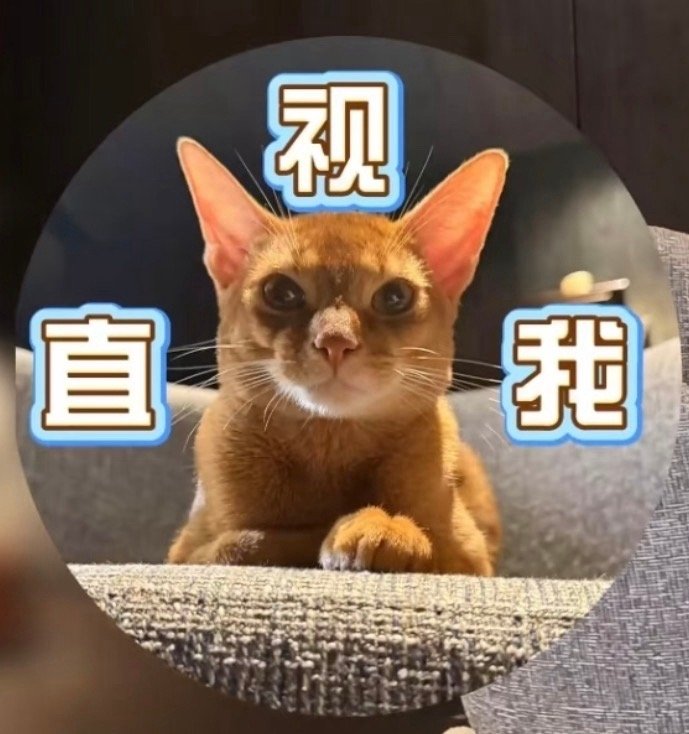 oi太可爱了吧，姐姐抱抱揉揉，捏捏，抱抱，吸吸