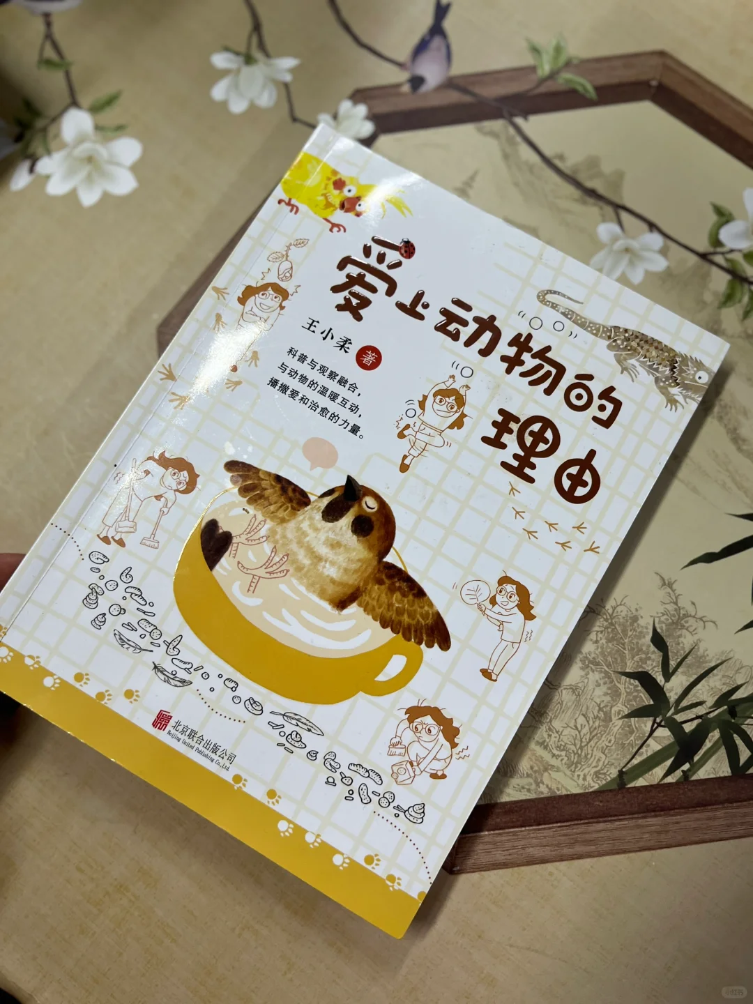 我们总是被动物治愈