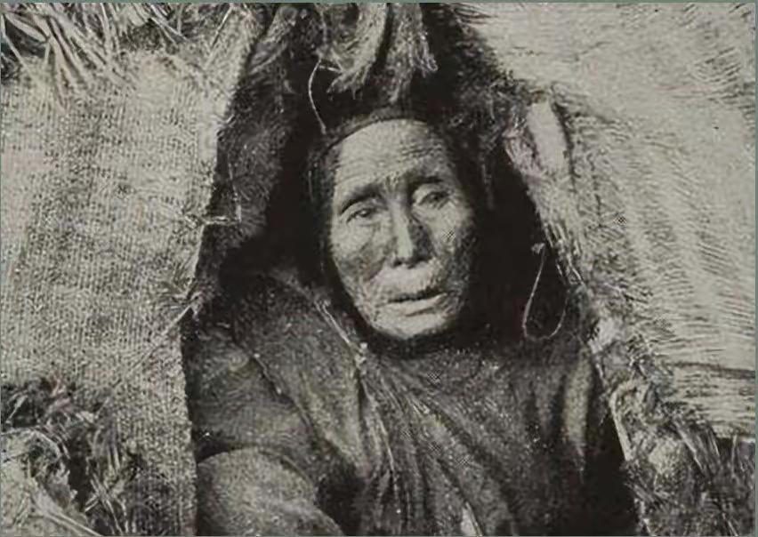 1950年，清剿湖南6万残匪的军长杨梅生路过小镇，见一乞丐老太酷似亡母，派警卫去