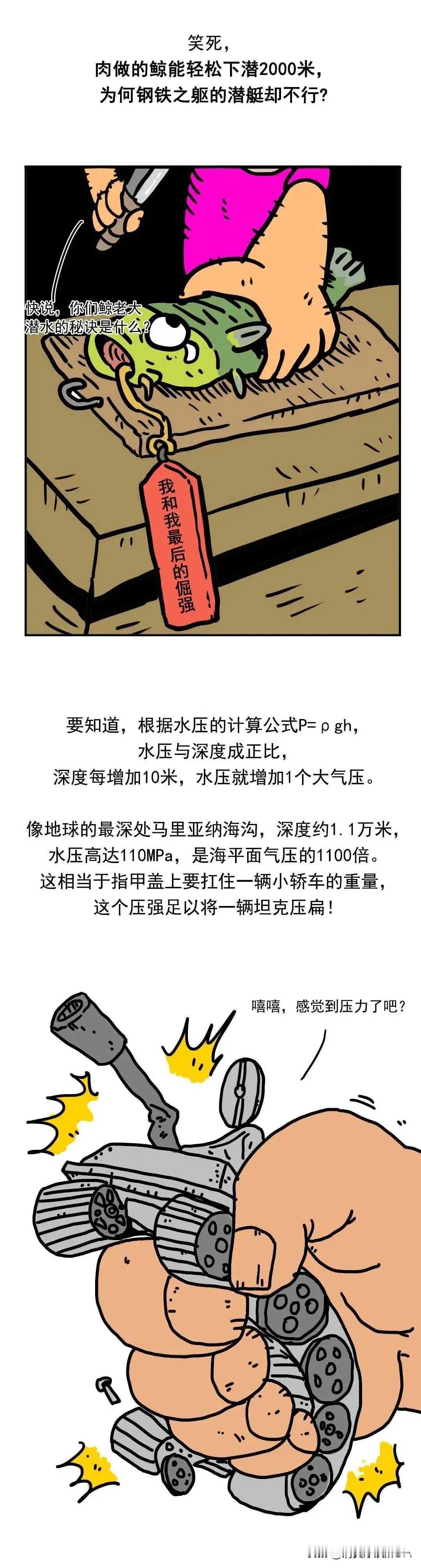 2024年10月28日，随着海洋探索技术的不断进步，科学家们对深海生物的研究越来