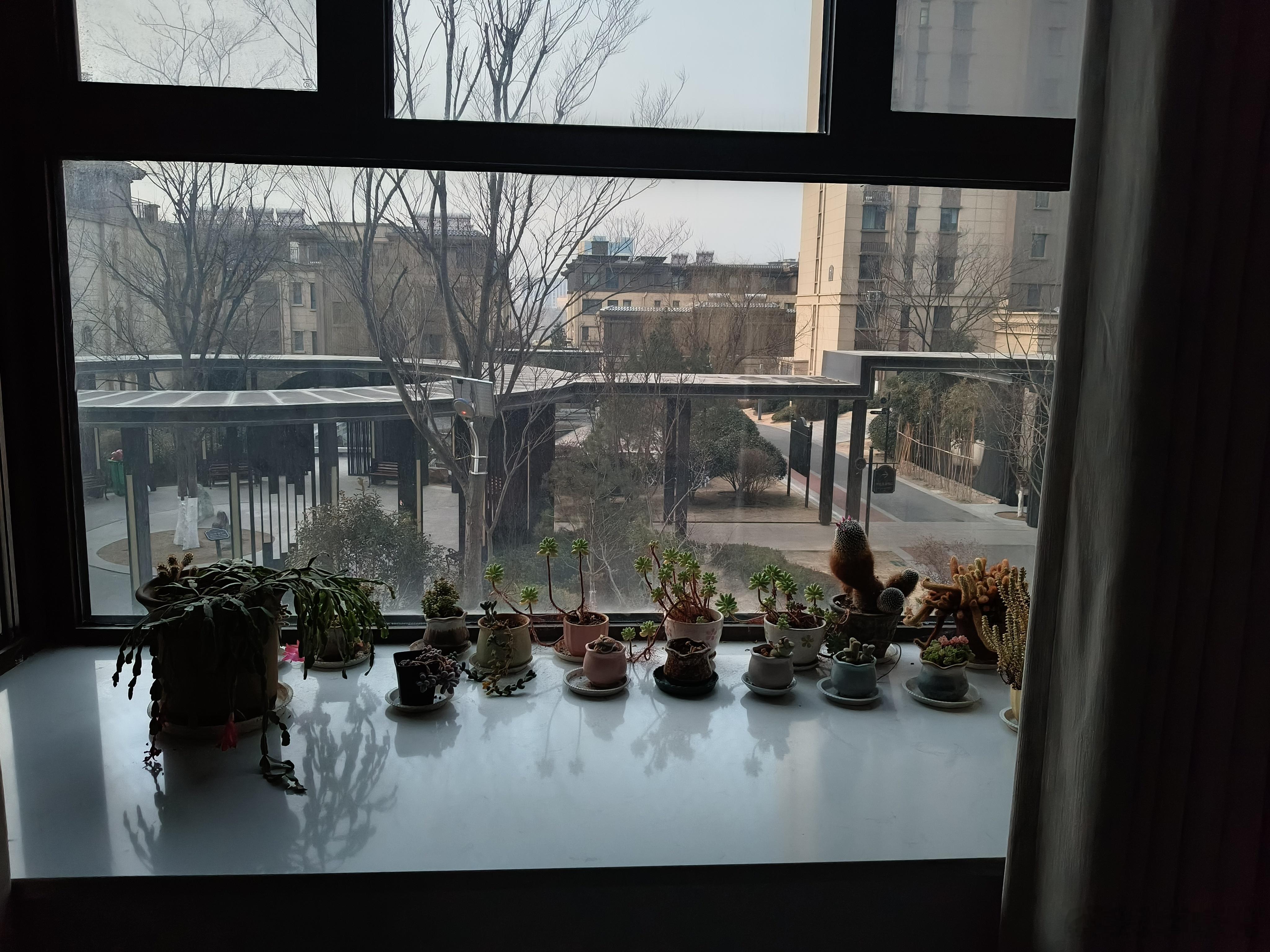 哈哈！终于放假了！终于可以睡懒觉了！终于可以有时间逛街了！好开心啊！啊啊啊啊啊…