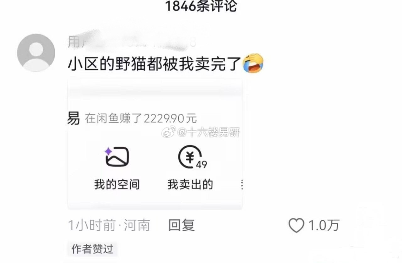 这算是爱猫人士吗野猫没绝育，没打疫苗，携带很多跳蚤和危险病原体，万一家里有其他猫