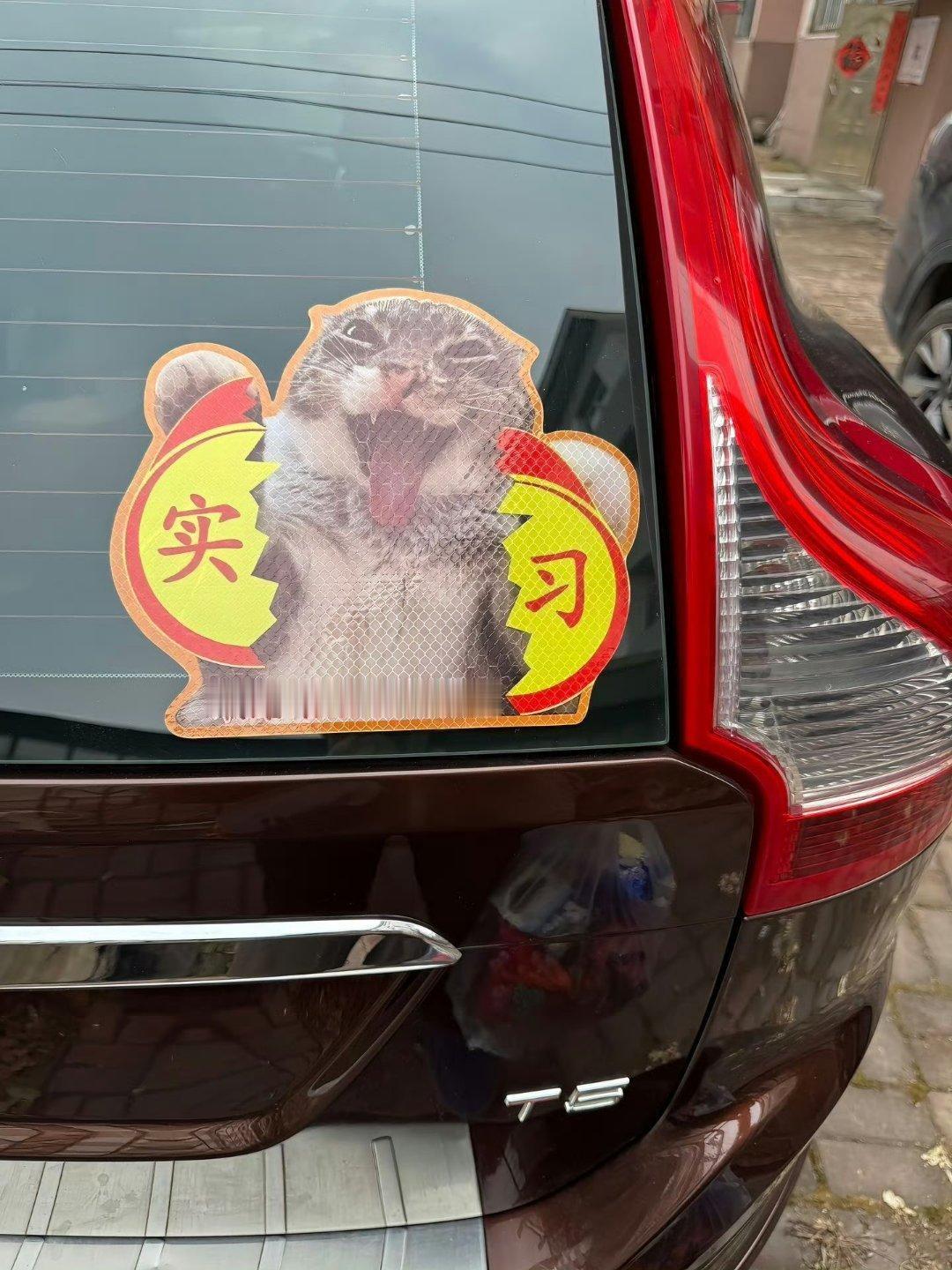 看到它要躲得更远了[狗头]