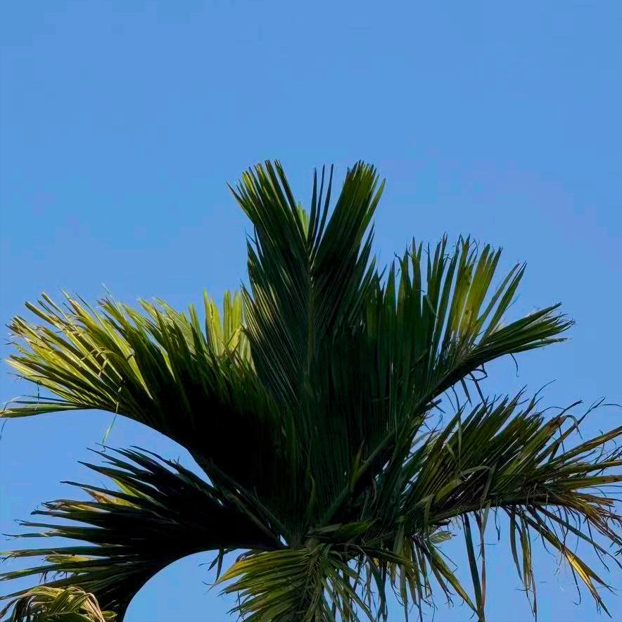 甘肃：执纪审查1人
 
3月30日，该省执纪审查1人，为兰州的、今年56岁的原官