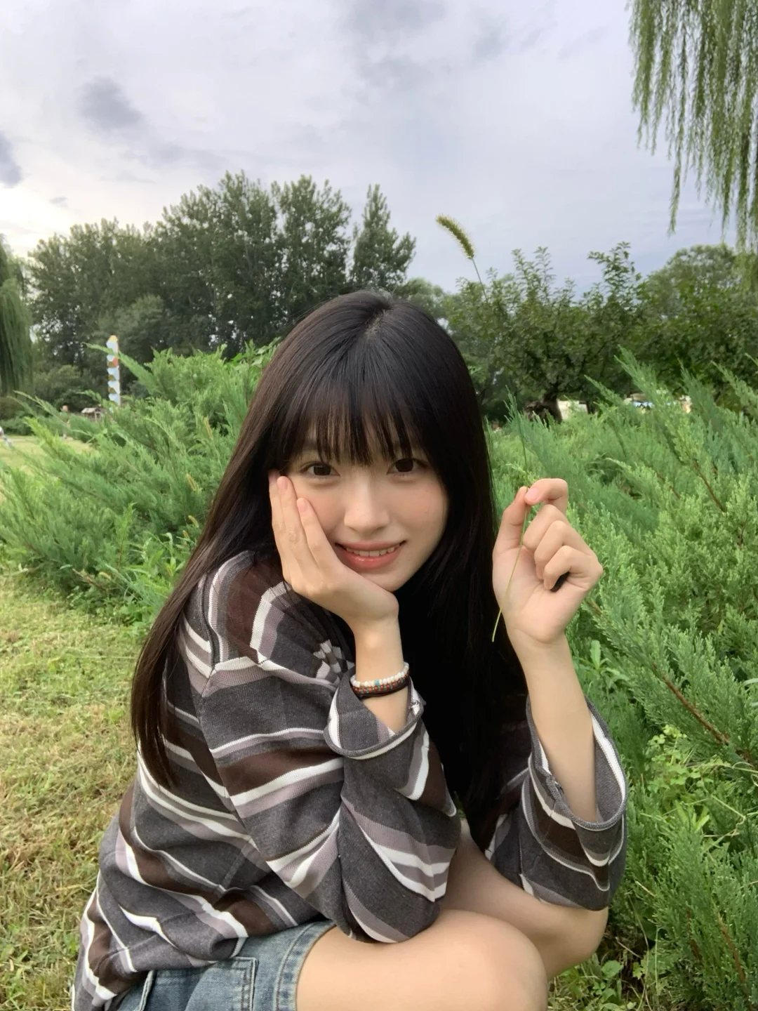 🌳