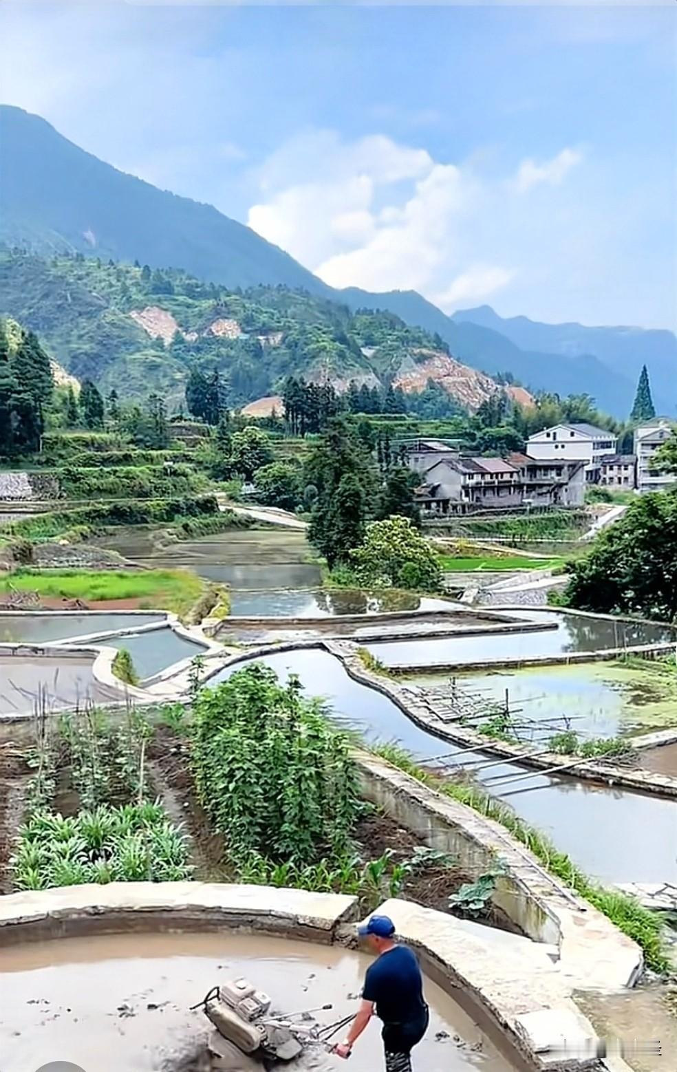农村的风景照，我虽没法直接分享，但我能给你描述一幅超美的画面。
6月7日，海曙古