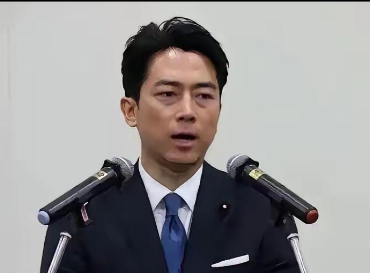 小泉现在很痛苦，因为是他代表日本签署了南海仲裁10周年联合声明，这等于他们认为太