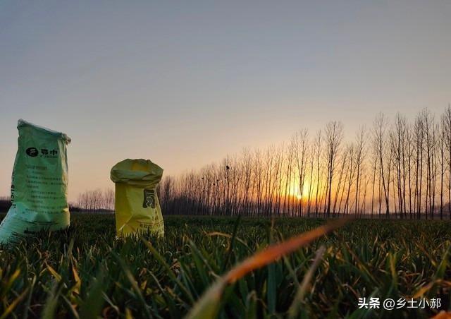 小麦底肥用二铵好？还是用复合肥好？哪种更省钱，哪种效果更好
 
今天给大家讲清楚