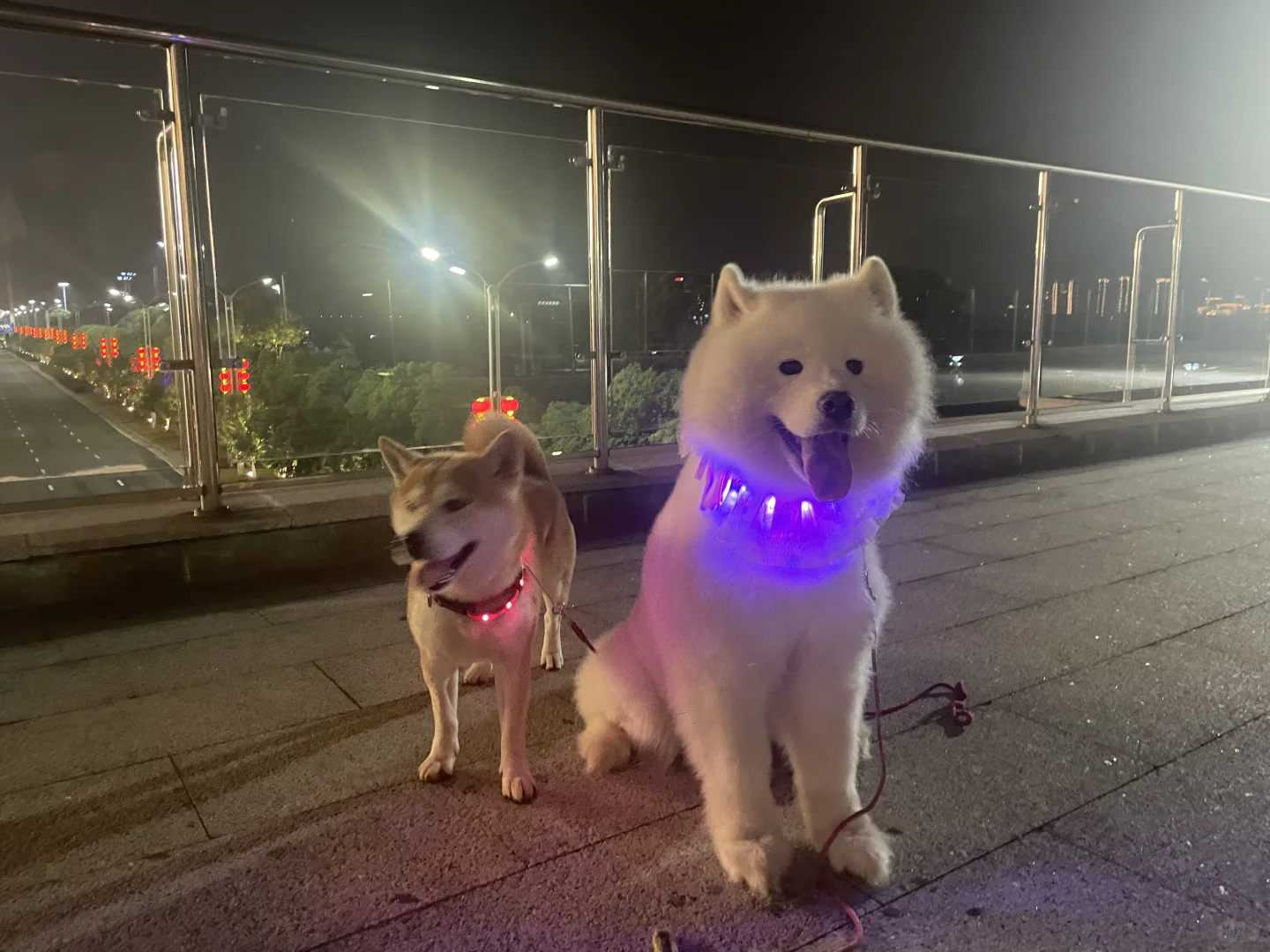 当你需要个夏天我会拼了命努力