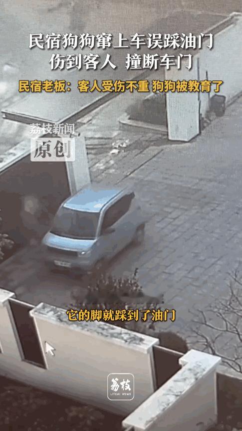 “离了个大谱！”12月9日，浙江湖州，一男子开车送客人离开时，狗狗突然窜上了车，