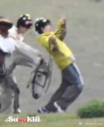 苏新皓被马顶了 拍戏途中突发小意外，苏新皓与马匹互动时不慎被顶撞，当场短暂停顿调