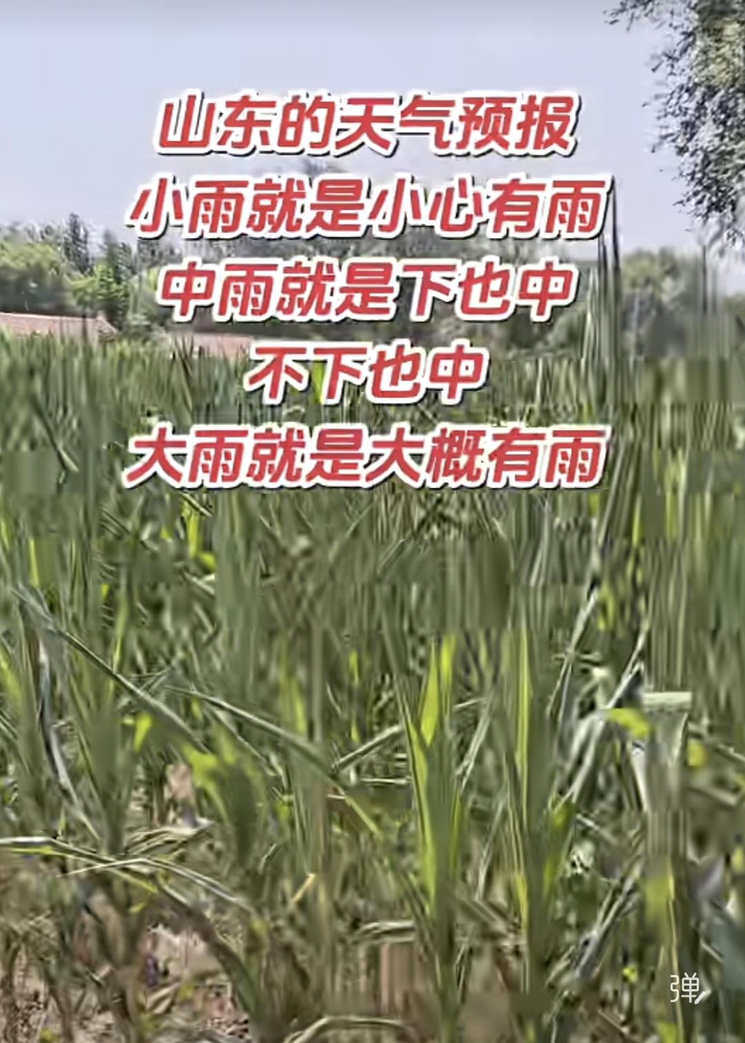 山东的天气预报：

小雨就是小心有雨，
中雨就是下也中、不下也中，
大雨就是大概