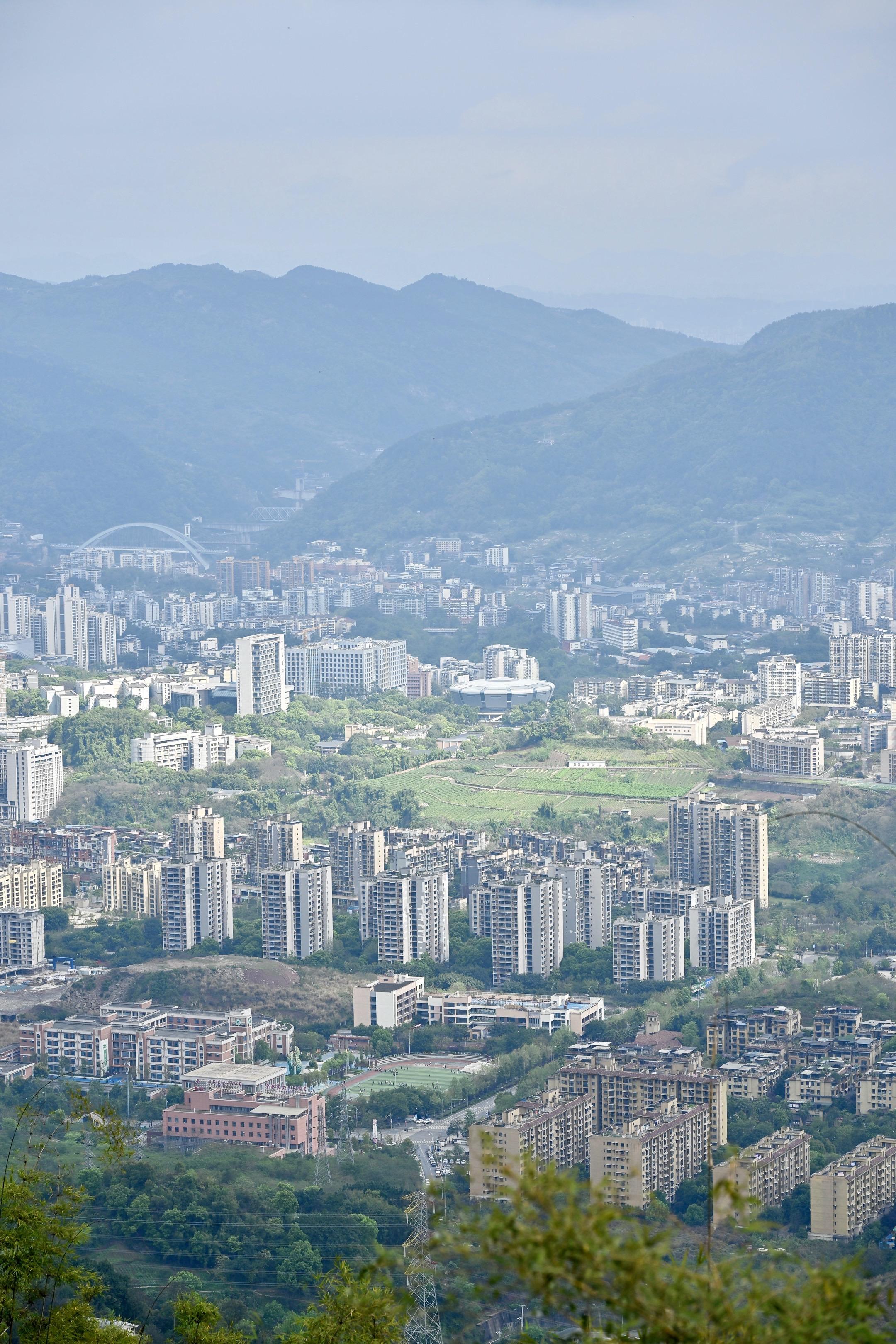 休假那阵和朋友去爬重庆缙云山，一路往上走，钻到竹林深处的时候，整个人都...