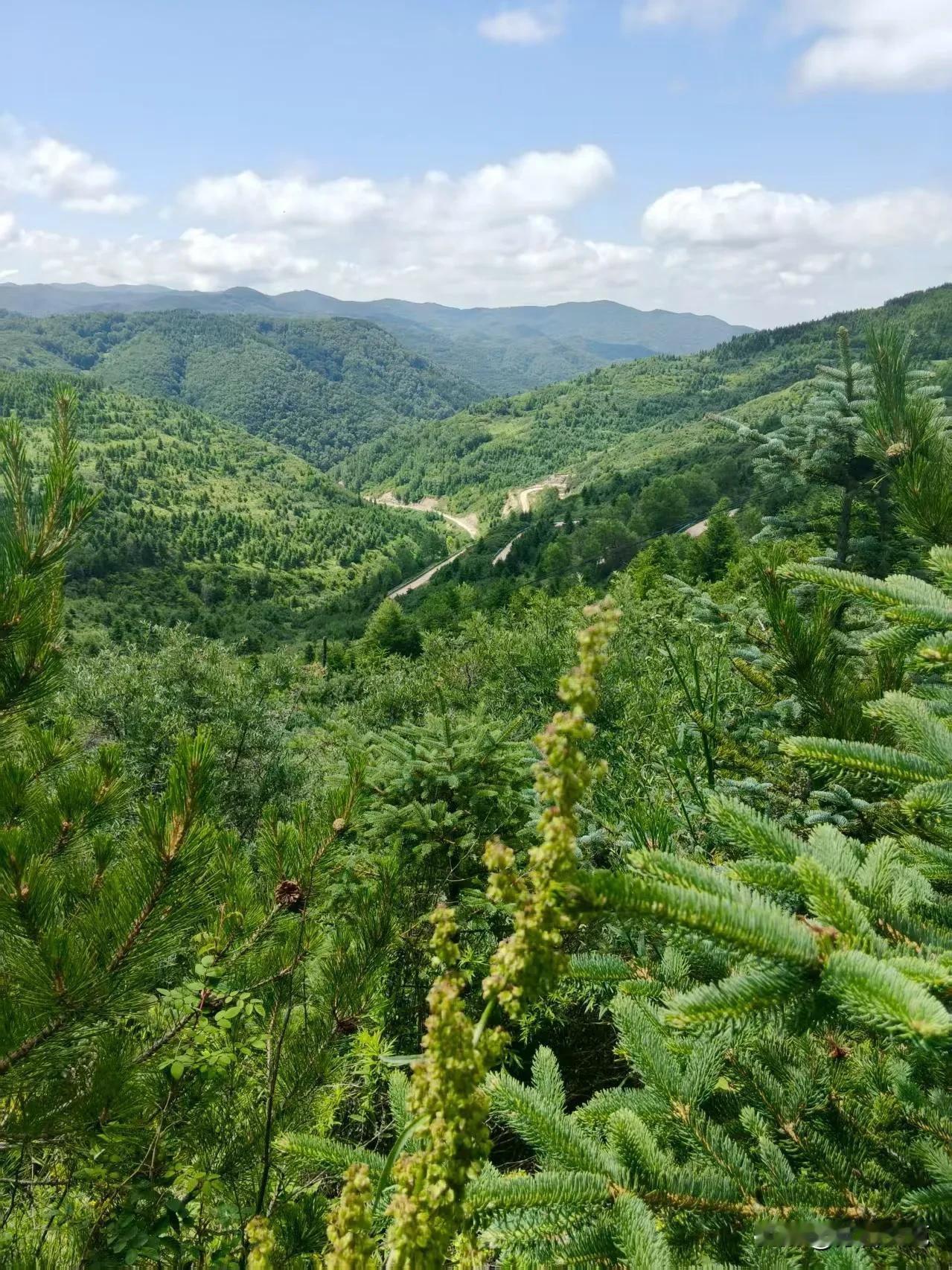 世上本无路

文//白雨

通道永远畅通，只是少了途经的理由
山鸡，野兔，落单的