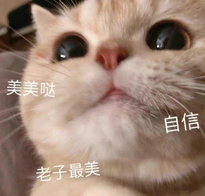 #霸王茶姬产品身份证上杯贴了#霸王茶姬的产品身份证上杯贴真是太方便了，随时随地都