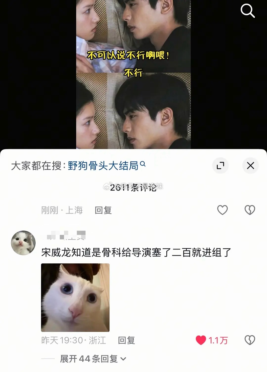 野狗骨头 | 🫘评论有时候挺神挺搞笑的 