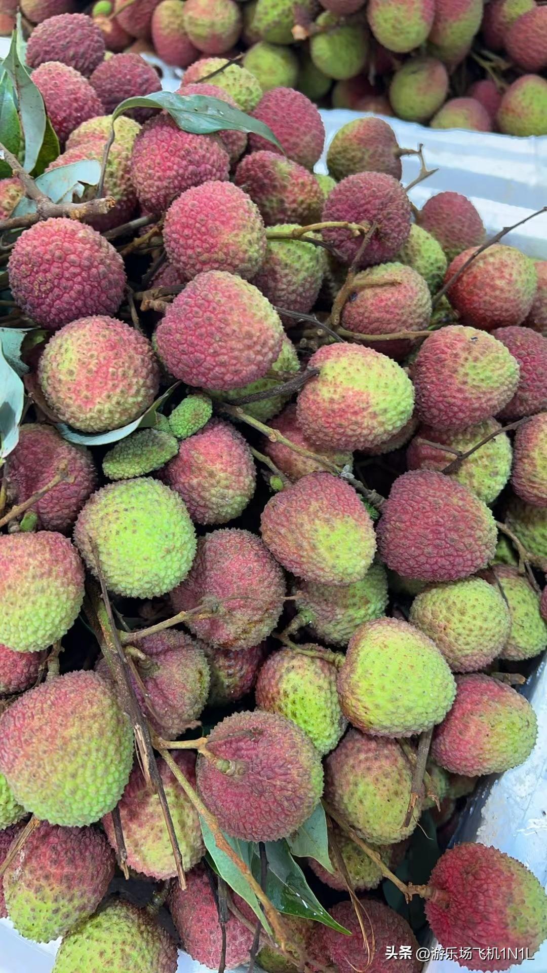 广西好吃的水果都有哪些品种现在你们那里的荔枝多少钱一斤了