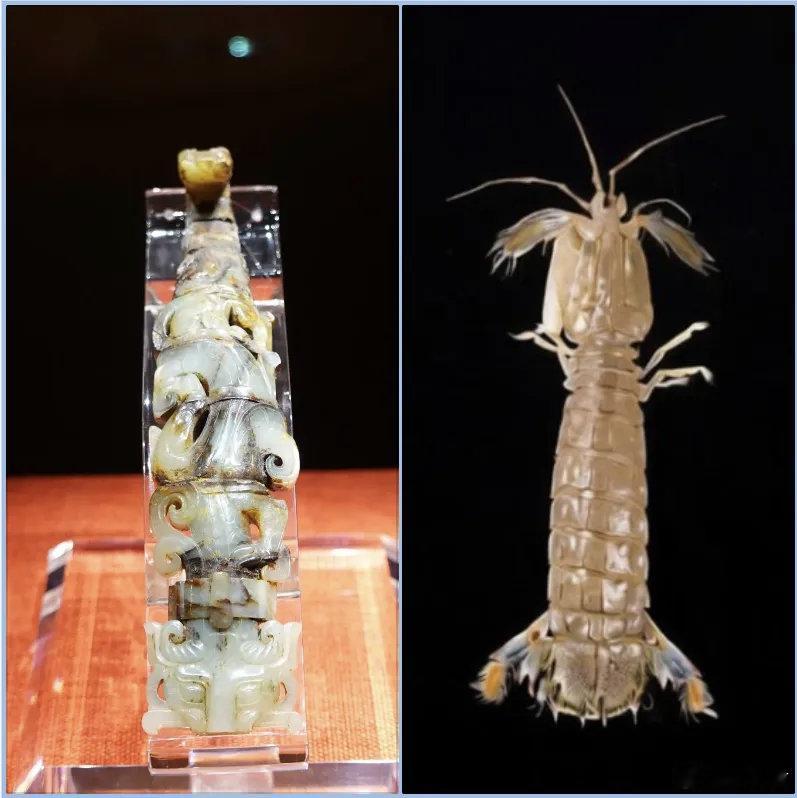 和文物碰个面南越王博物院玉带钩 这件八节铁芯龙虎玉带钩，长19.5厘米，出土于广