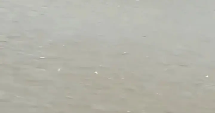湖南4名男子钓鱼时遇河水上涨，其中2人撤离，目击者：另2人“舍不得装备，不肯跑”，随后被洪水冲走，不