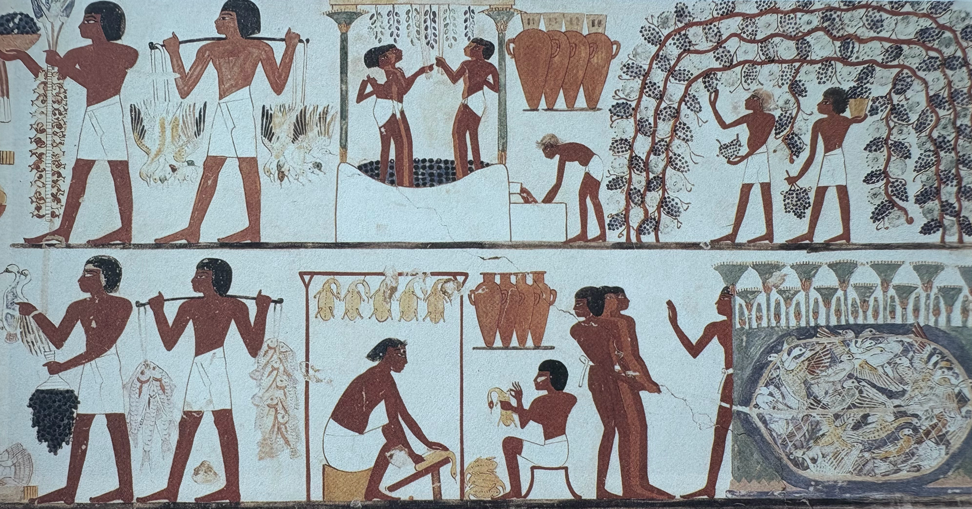 古埃及法老Nakht（约前1400年）的墓葬壁画中也有工人在采摘葡萄和在水槽中踩