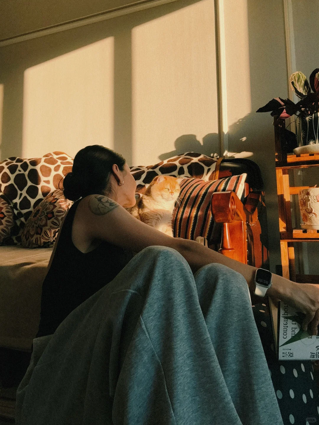 阳光刚刚好☀️