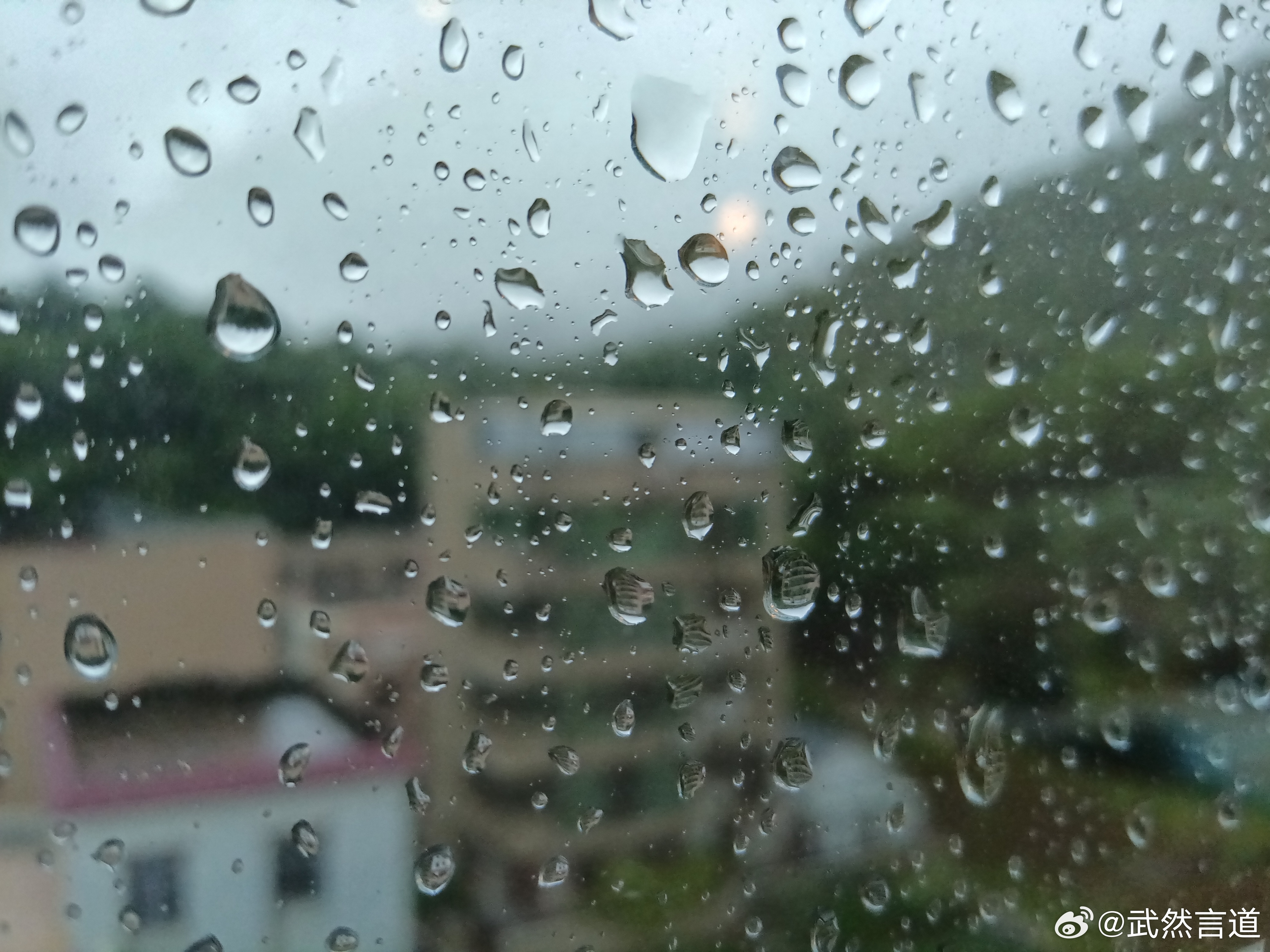雨。。。 珠海